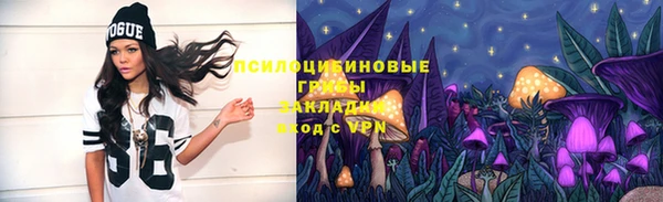 трава Кулебаки