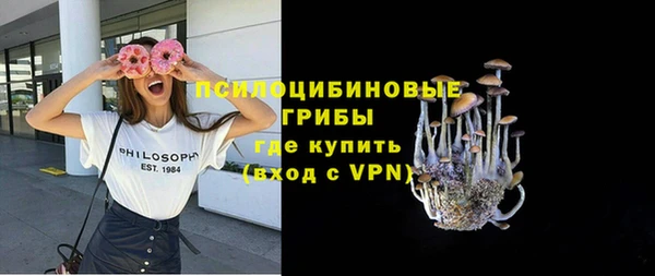 apvp Киров