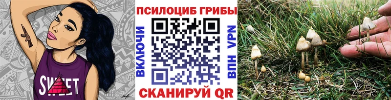 продажа наркотиков  даркнет как зайти  Галлюциногенные грибы мухоморы  Юрюзань 